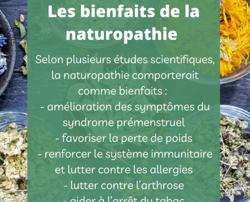 naturopathie-contre-indications-comment-choisir-son-naturopathe-allergie-pollen-aliments-alimentation-definition