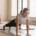 dos-back-pilates-cours-collectifs-fitness-coaching-coach-geneve-suisse-small-group-training